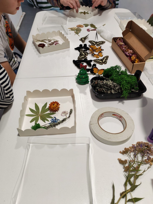 Выставка тропических бабочек и авторские мастер‑классы со скидкой до 40%