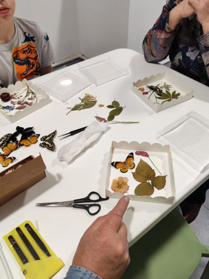 Выставка тропических бабочек и авторские мастер‑классы со скидкой до 40%