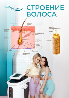 Лазерная эпиляция в «Клинике Красоты» со скидкой до 61%! Лазерная эпиляция в «Клинике Красоты» со скидкой до 61%!