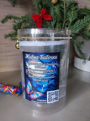 Выставка тропических бабочек и авторские мастер‑классы со скидкой до 40%