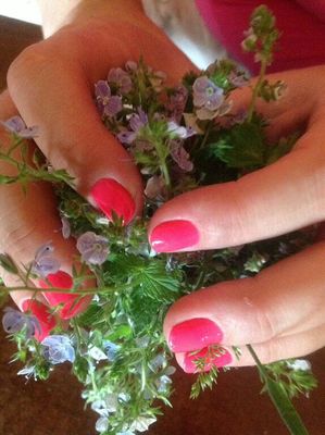 Кабинет в салоне Анжелика