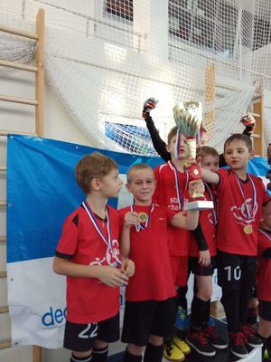 Школа футбола Лайк