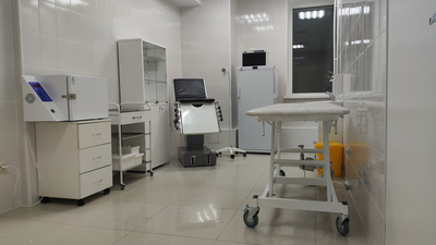 Мегаклиника