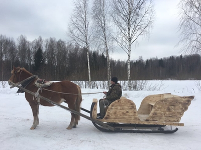 Загородный комплекс «Сафари Паркъ»  дарит скидки до 56% на отдых, развлечения и многое другое!