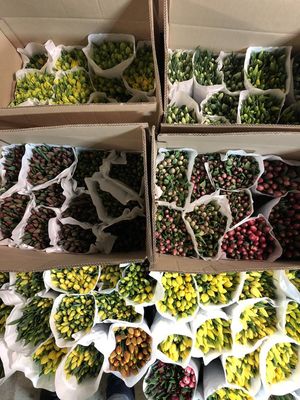 Цветочный магазин Цветы Болдина 96