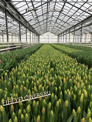 Цветочный магазин Цветы Болдина 96