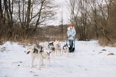 Познавательно-развлекательные экскурсии, аренда монгольской юрты и финского гриль-домика, катание на снегоходах и многое другое в «Хаски блюз» со скидкой до 50%!