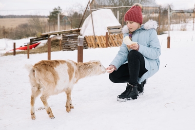Познавательно-развлекательные экскурсии, аренда монгольской юрты и финского гриль-домика, катание на снегоходах и многое другое в «Хаски блюз» со скидкой до 50%!