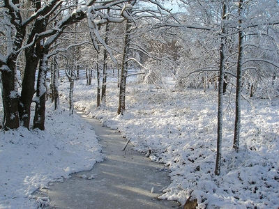 Загородный комплекс «Сафари Паркъ»  дарит скидки до 56% на отдых, развлечения и многое другое!