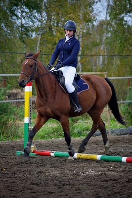 Ворожба, конюшня