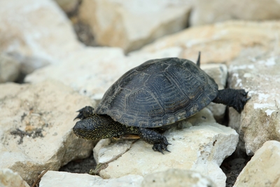 Отдых в «DeLore Парк-Отель Домодедово» со скидкой до 40%! Отдых в «DeLore Парк-Отель Домодедово» со скидкой до 40%!