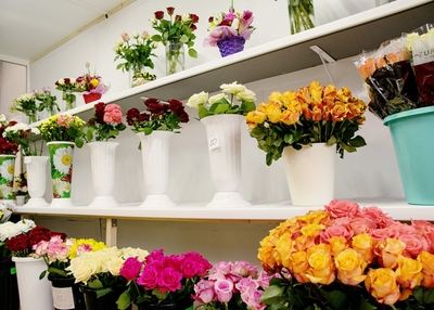 Цветочный салон Камелия