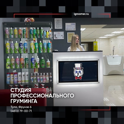 Груминг на фрунзе