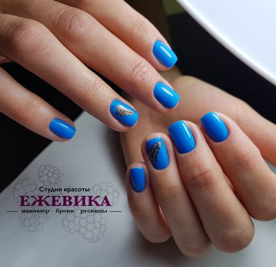 Салон красоты Ежевика в Туле