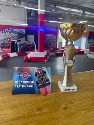 CrazyCart (крейзи карт), детский картинг