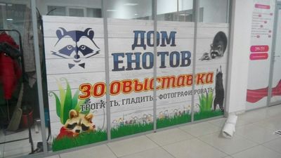 Центр социальной реабилитации  Енотоград