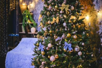 Katana (Катана), фотостудия