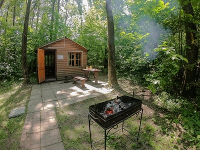 Скидка до 41% на отдых в подмосковном отеле «Foresta Festival Park»: уютные номера и коттеджи, питание, бильярд и многое другое!