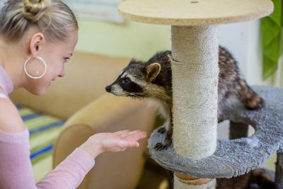 Центр социальной реабилитации  Енотоград