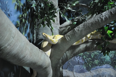 Зимний холод нипочём — в зоопарк с тобой пойдем!  Жаркая акция в Тульском Экзотариуме для родителя и ребёнка вместе с Хомсбокс!