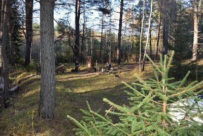 Отдых в загородном комплексе «Айсберг Угры» со скидкой до 60%!