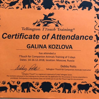 Happy Dog — зоопсихолог-кинолог Галина Козлова