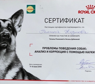 Happy Dog — зоопсихолог-кинолог Галина Козлова
