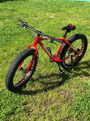 ССК Динамо Велопрокат