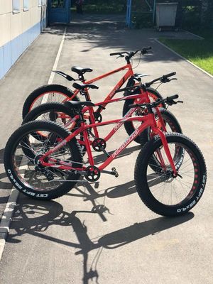 ССК Динамо Велопрокат