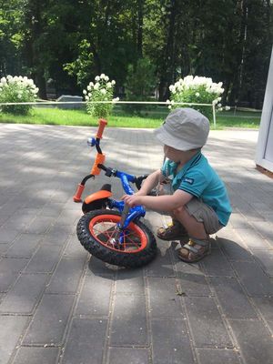 ССК Динамо Велопрокат