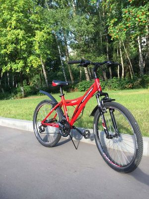 ССК Динамо Велопрокат