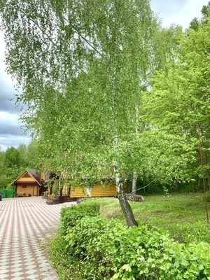 Отдохните душой и телом в эко-отеле «Кочаки»! Комфортабельные коттеджи и баня со скидкой до 50%!