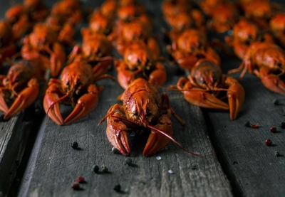 Варёные раки со скидкой 30% в раковарне «ДВЕ КЛЕШНИ»! Варёные раки со скидкой 30% в раковарне «ДВЕ КЛЕШНИ»!