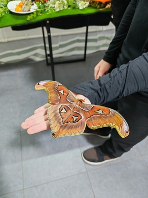 Выставка тропических бабочек и авторские мастер‑классы со скидкой до 28% Выставка тропических бабочек и авторские мастер‑классы со скидкой до 28%