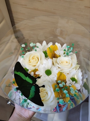 Выставка тропических бабочек и авторские мастер‑классы со скидкой до 28% Выставка тропических бабочек и авторские мастер‑классы со скидкой до 28%