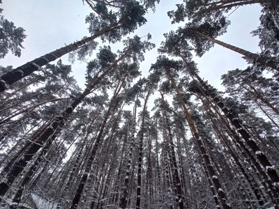 Отключайтесь от работы — подключайтесь к отдыху на базе «Электромонтажник» со скидкой 50%!