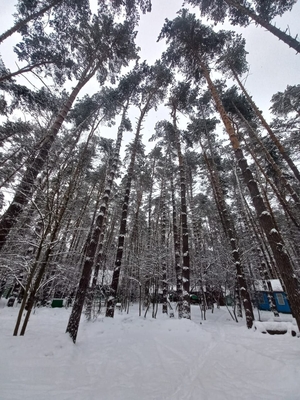 Отключайтесь от работы — подключайтесь к отдыху на базе «Электромонтажник» со скидкой 50%!