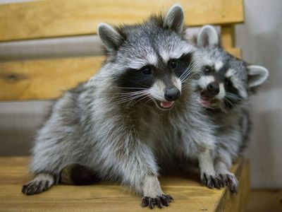 Центр социальной реабилитации  Енотоград