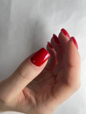 Black staya бьюти бар