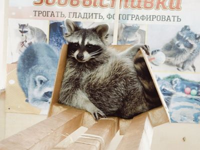 Центр социальной реабилитации  Енотоград