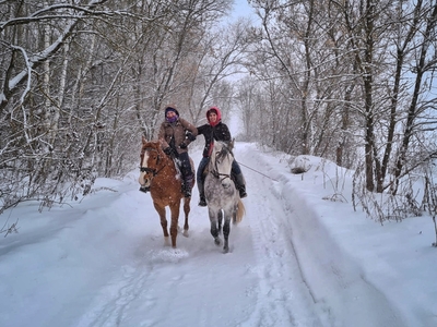 Незабываемые прогулки на лошадях со скидкой до 50% от частной конюшни «Ворожба» Незабываемые прогулки на лошадях со скидкой до 50% от частной конюшни «Ворожба»