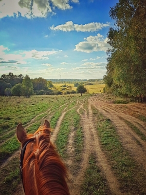 Ворожба, конюшня