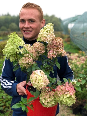 Питомник «Садовый лабиринт»