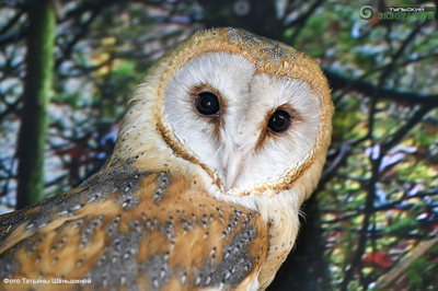 Зимний холод нипочём — в зоопарк с тобой пойдем!  Жаркая акция в Тульском Экзотариуме для родителя и ребёнка вместе с Хомсбокс!