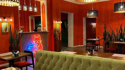 Кафе Суп с котом