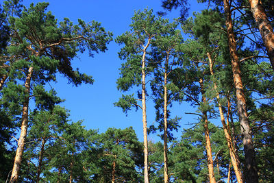 Отдохни от городской суеты! Пансионат «Строитель» дарит скидку до 20% на проживание!