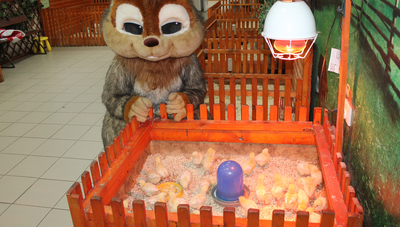 Трогательный зоопарк для взрослых и детей! Скидка 50% на входной билет!