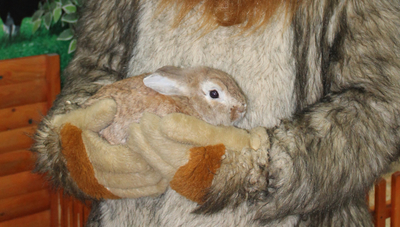 Трогательный зоопарк для взрослых и детей! Скидка 50% на входной билет!