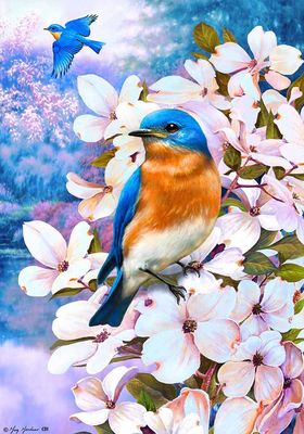 Творчество71