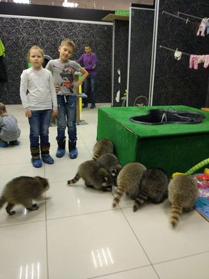 Центр социальной реабилитации  Енотоград